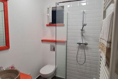 Garsonieră în Ultracentral - 4