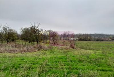 Casă individuală cu 3 camere cu Canalizare în Bărcănești - 12