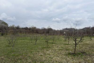 Spațiu comercial, în Bărbulețu - 7