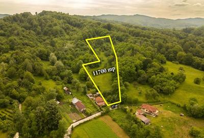 Teren 11700 mp în Valea Lungă, o oază de liniște, aer curat și verdeață