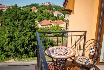 Apartament cu 3 camere decomandat, mobilat în Drumul Poienii - 7