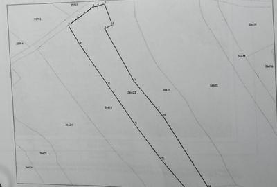 Teren 3.486 mp la drum Iacobeni (Dandoaia) CF + cadastru - 4