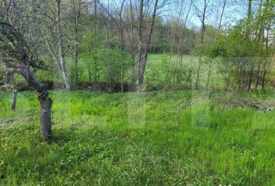 Teren de 6659 mp, în Nisipoasa - 14