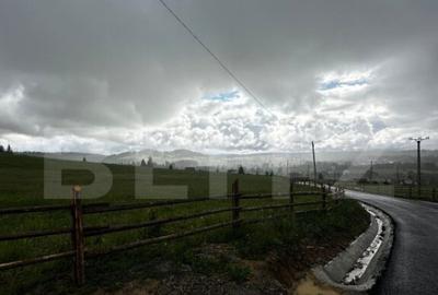 Teren de vanzare intravilan in Poiana Stampei, 2 hectare - 1