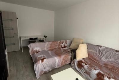 Apartament cu 3 camere decomandat în Nicolae Grigorescu - 11