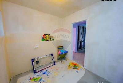 Casă cu 1 camere cu Teren 1450 Mp în Săsar - 13