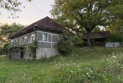 Proprietate la țară cu teren generos - 4