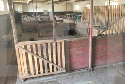 Casă cu 4 camere cu Teren 5500 Mp în Central