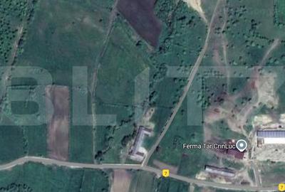 Teren extravilan, ideal investitie, zona Jelna