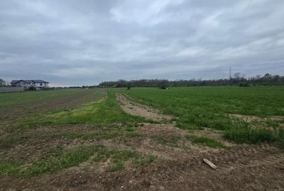 Teren Construcții intravilan de 4000 mp, în Central - 3