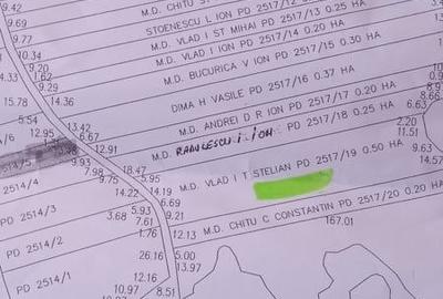 Teren de 5000 mp, în Bănești - 4