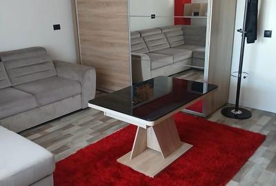 Garsonieră decomandată în Exterior Vest - 2