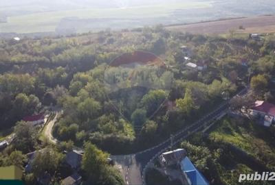 Casă cu 3 camere cu Teren 5245 Mp în Șerbănești - 4