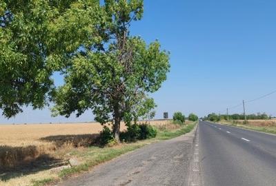 Teren de vanzare in Frumusani cu PUZ Aprobat - 2