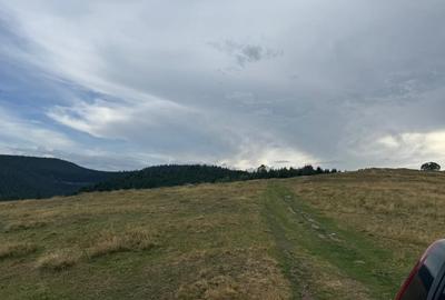 Teren extravilan de 14526 mp, în Rășinari - 2