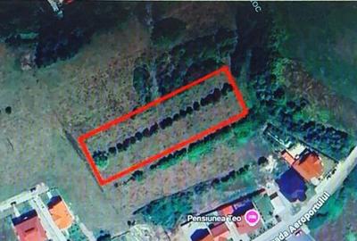 TEREN INTRAVILAN - STRADA AEROPORTULUI\ CARANSEBE?\JUD.C... - 3