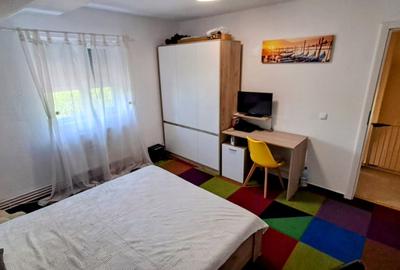 Casa individuală, zonă liniștită, în Vatra veche a satului - 13