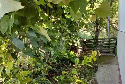 Casa renovabila, 2 camere, zona Cetate - 5