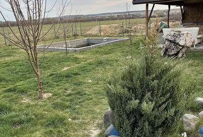 Casă cu Teren 800 Mp în Coltău - 3