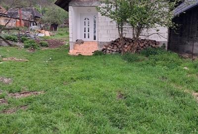 Casă cu 2 camere în Bârsana - 5
