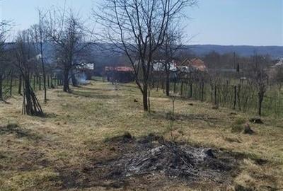 VANZARE CASA PRETABIL AGROTURISM/LOCUIT/INVESTITIE-IZVOARELE DAMBOVITA - 2