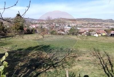 Teren intravilan de vanzare 3,798mp Str.Floreasca - Agnita - 2