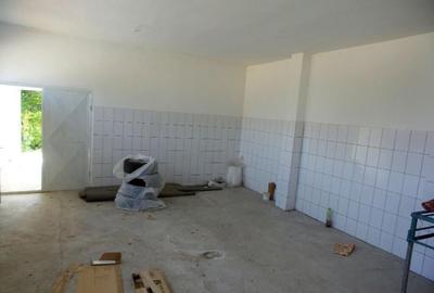 Hala nord Odobesti, Vrancea - 2