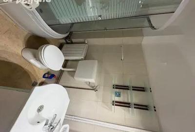 Apartament cu 3 camere decomandat în Malul Mureșului - 3