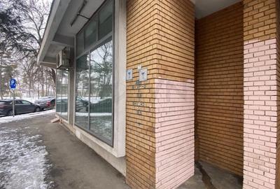 REC3001668 Spatiu comercial stradal - Serban Voda - langa Parcul Carol - 3