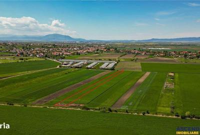 Spațiu comercial, în Bod - 4