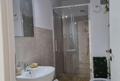 Apartament 1 camera zona Iulius - 1