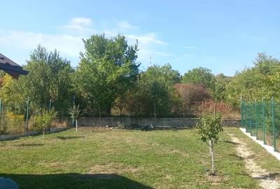 Casă cu 2 camere în Călinești - 2