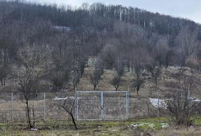 Casă cu 2 camere cu Canalizare în Mitrofani