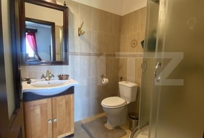 Conac de vanzare 7 camere, baie proprie, crama, ciubar si potential - 10