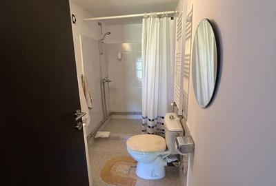 Casă cu 4 camere cu Teren 5146 Mp în Sălătrucu - 11