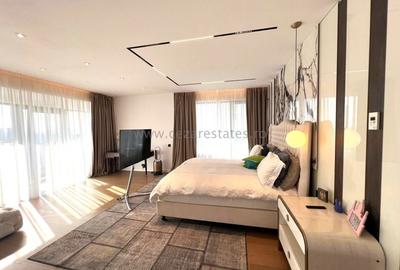 HERASTRAU ONE TOWERS  PENTHOUSE DUPLEX  VEDERE PANORAMICA - 46