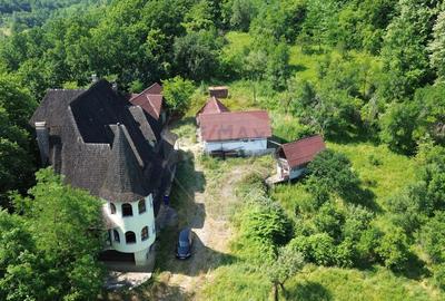 DE VANZARE CASTEL IN MARAMURES - 4