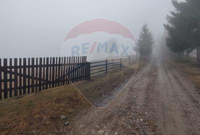 Teren Construcții intravilan de 26238 mp, în Dorna-Arini - 3