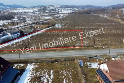 Teren de vanzare in comuna Mu?ate?ti, jude? Arge?. - 1