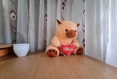 Apartament cu 2 camere decomandat, mobilat în Vest - 7