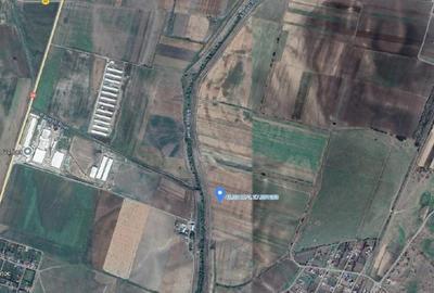 Teren Extravilan Banca, ID: R2805492 - 5