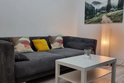 Garsonieră semidecomandată, mobilată în Costin Georgian - 2