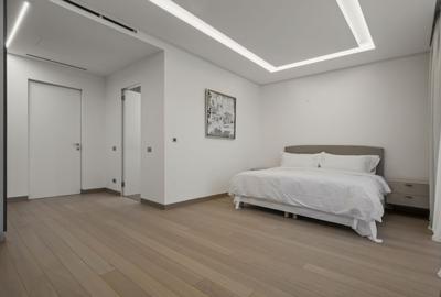 Kiseleff , apartament ultra high-end, pozitie exceptionala intre doua parcuri - 16