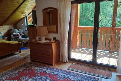 Proprietate exclusivistă pe malul râului – Frăsinet, Băișoara, jud. Cluj - 5