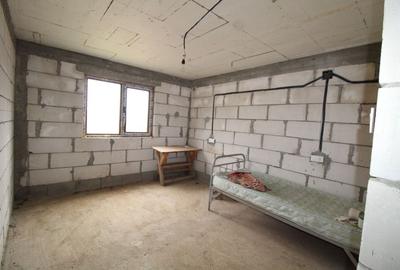 Casă P + 1 Câmpu Mare, Albeni - 4