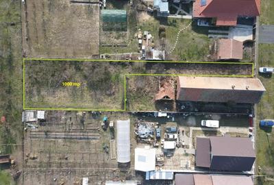 Teren de 1000 mp, în Moșnița Nouă - 2