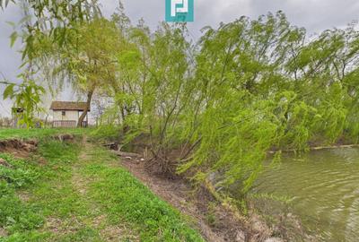 Teren agricol extravilan de 10000 mp, în Alioș - 6