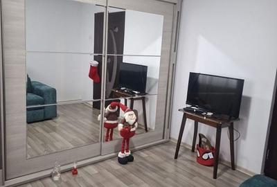 Apartament 2 camere de vanzare Gorjului-Rasaritului - 11