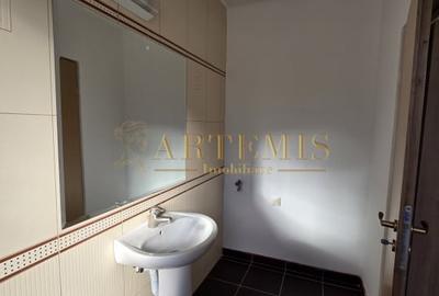 Duplex, 4 camere, 190 mp ,teren  273 mp , zona Dedeman - 11