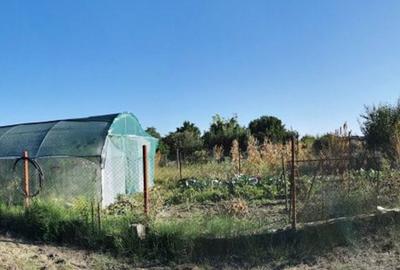 Teren de vanzare in zona Ostroveni - 5